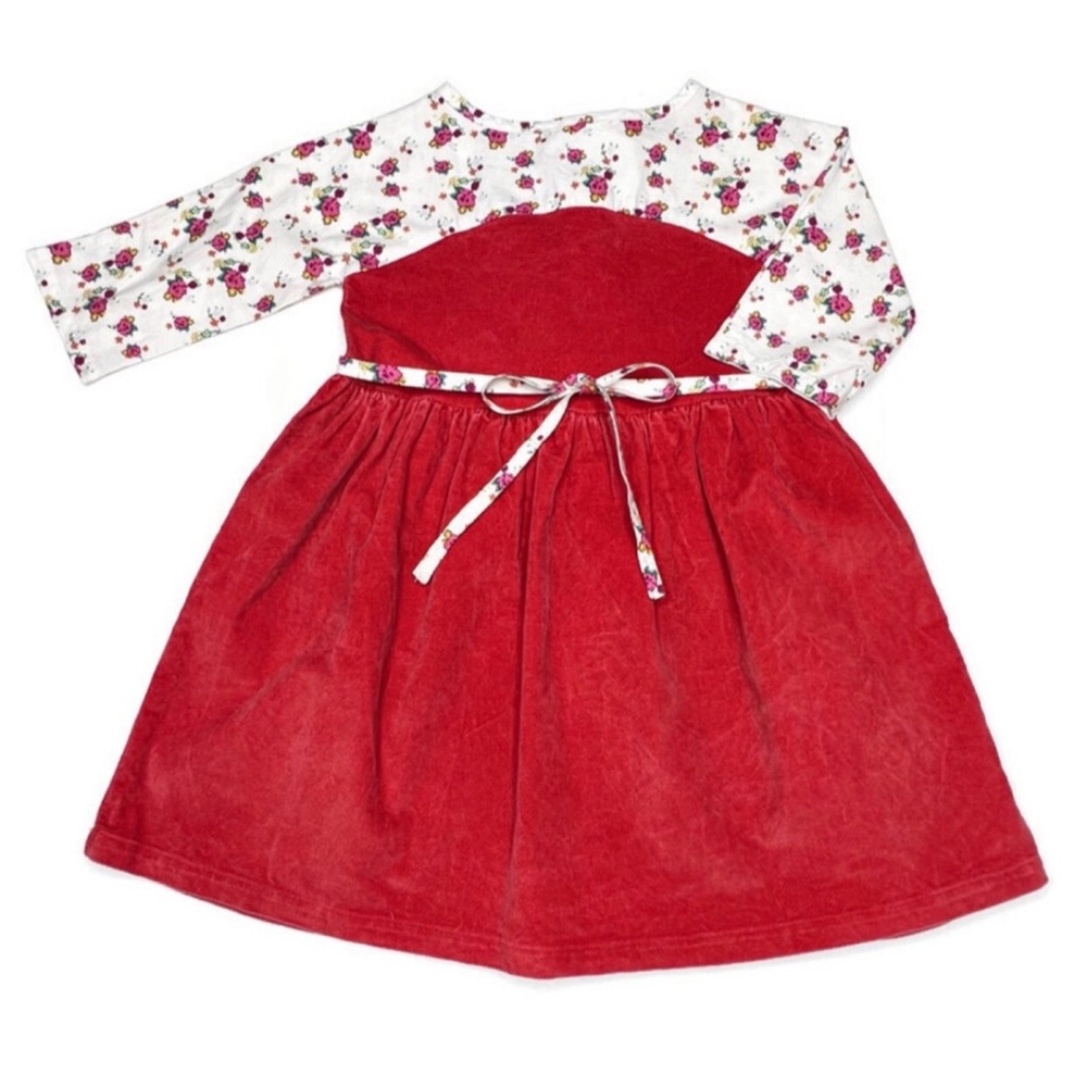 Ele Story Velvet Dress